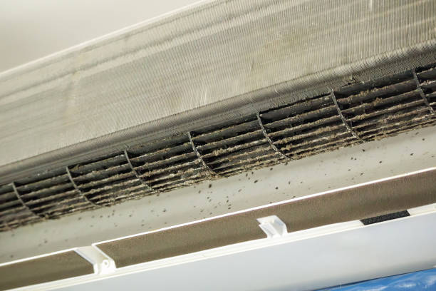 Air Duct Mold Removal in VT